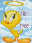 pic for Tweety Bird angel